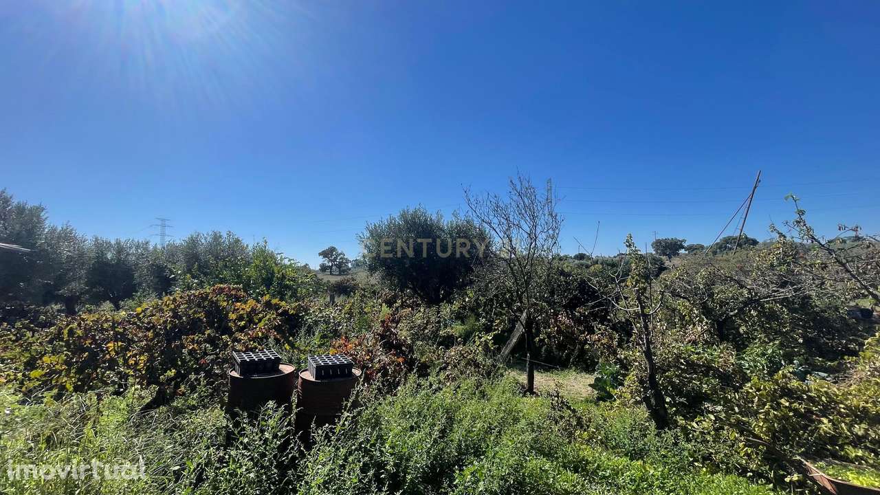 Terreno rústico | Escalos de Cima, Castelo Branco - Grande imagem: 3/20