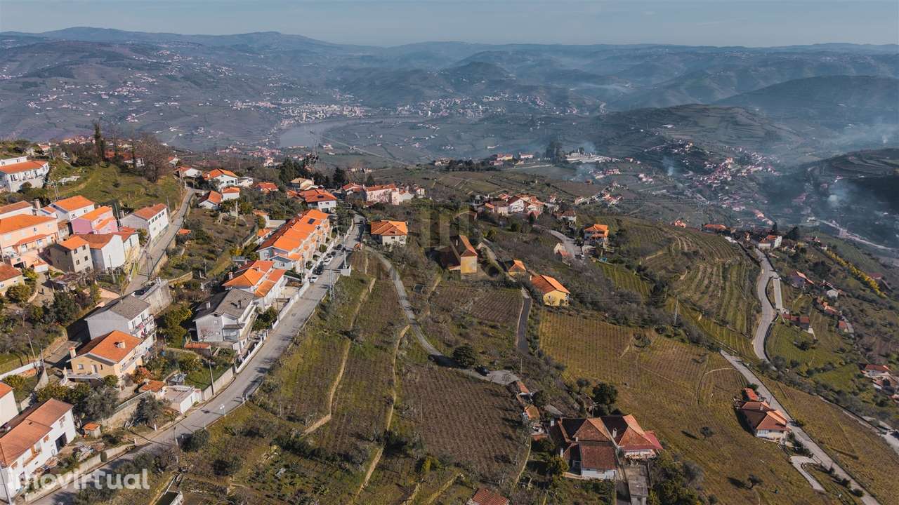 Oportunidade no Douro | Quinta com História | Lamego - Grande imagem: 5/16
