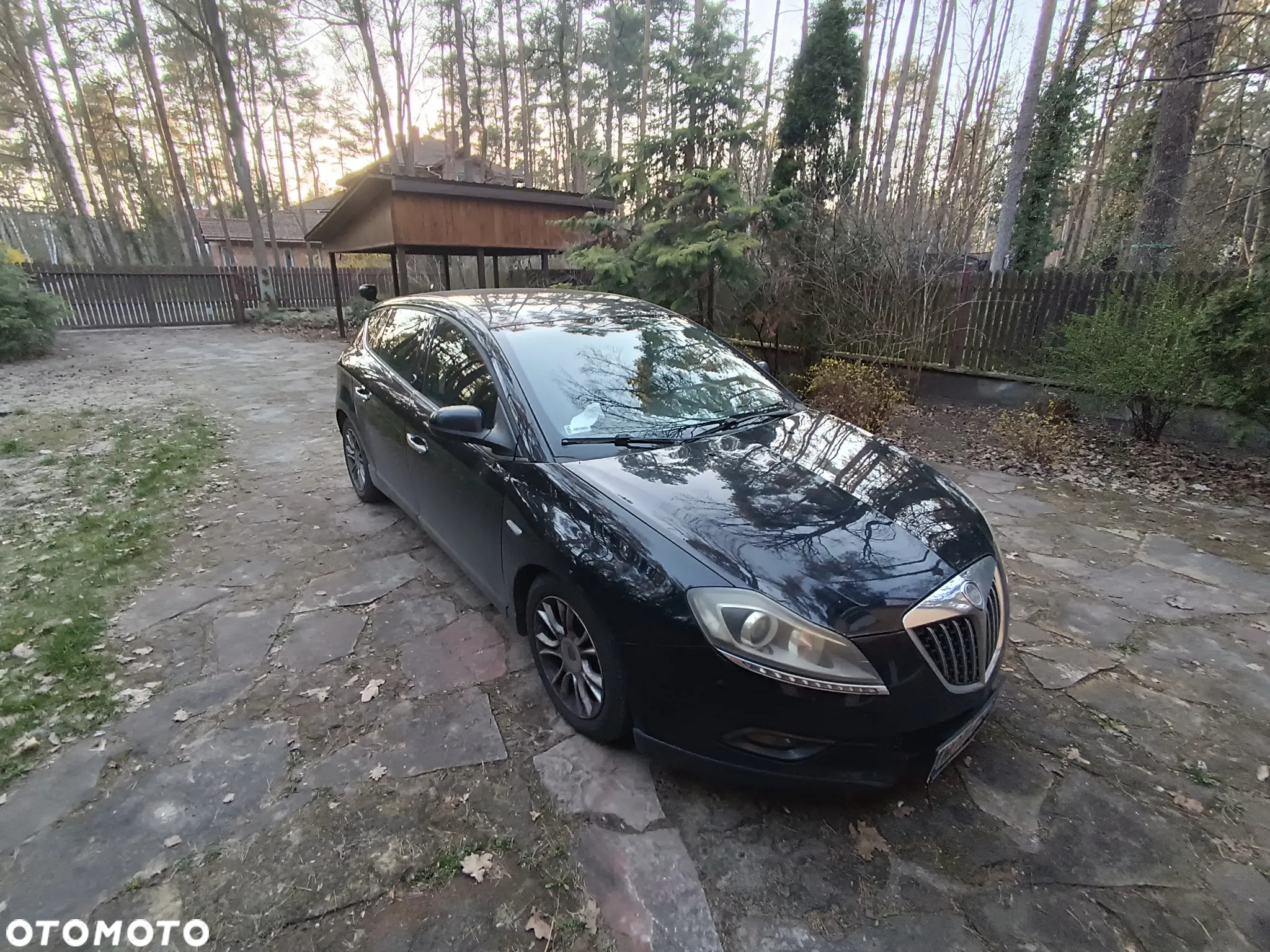 Lancia Delta 1.6 MJ Platino Selectronic - 2