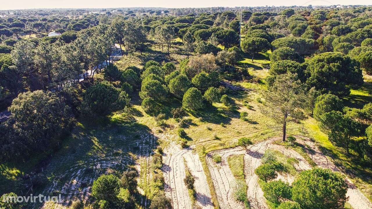 Quinta em Melides - Grande imagem: 5/43