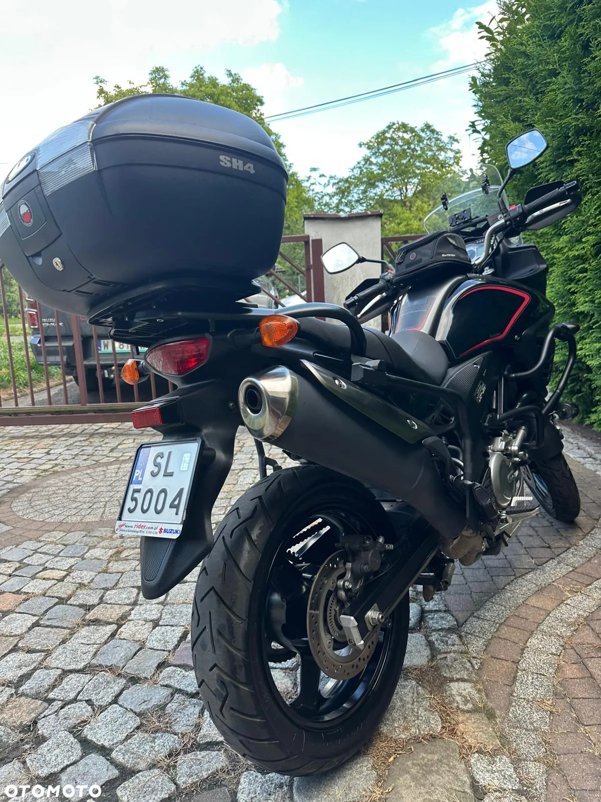Suzuki DL - 9