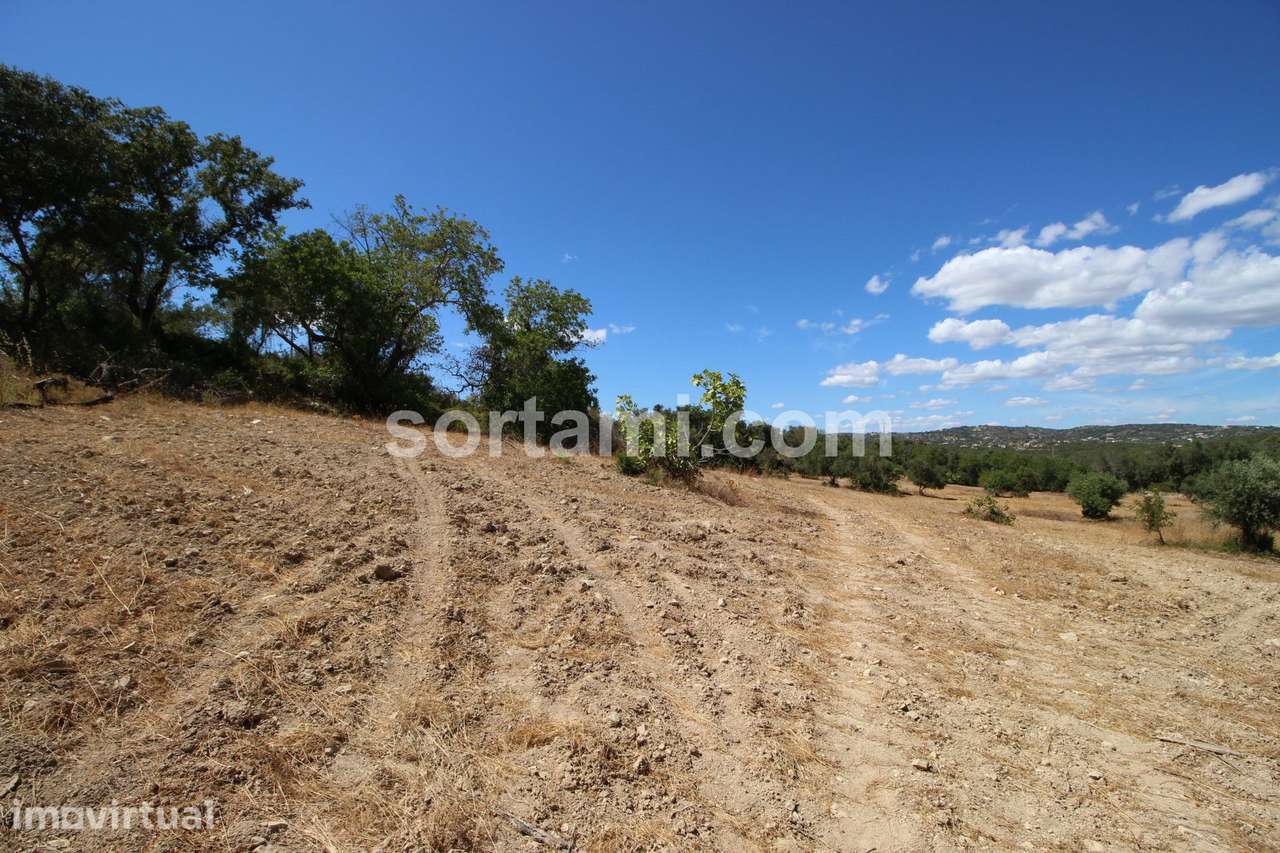 Terreno Rústico  Venda em Santa Bárbara de Nexe,Faro - Grande imagem: 5/10