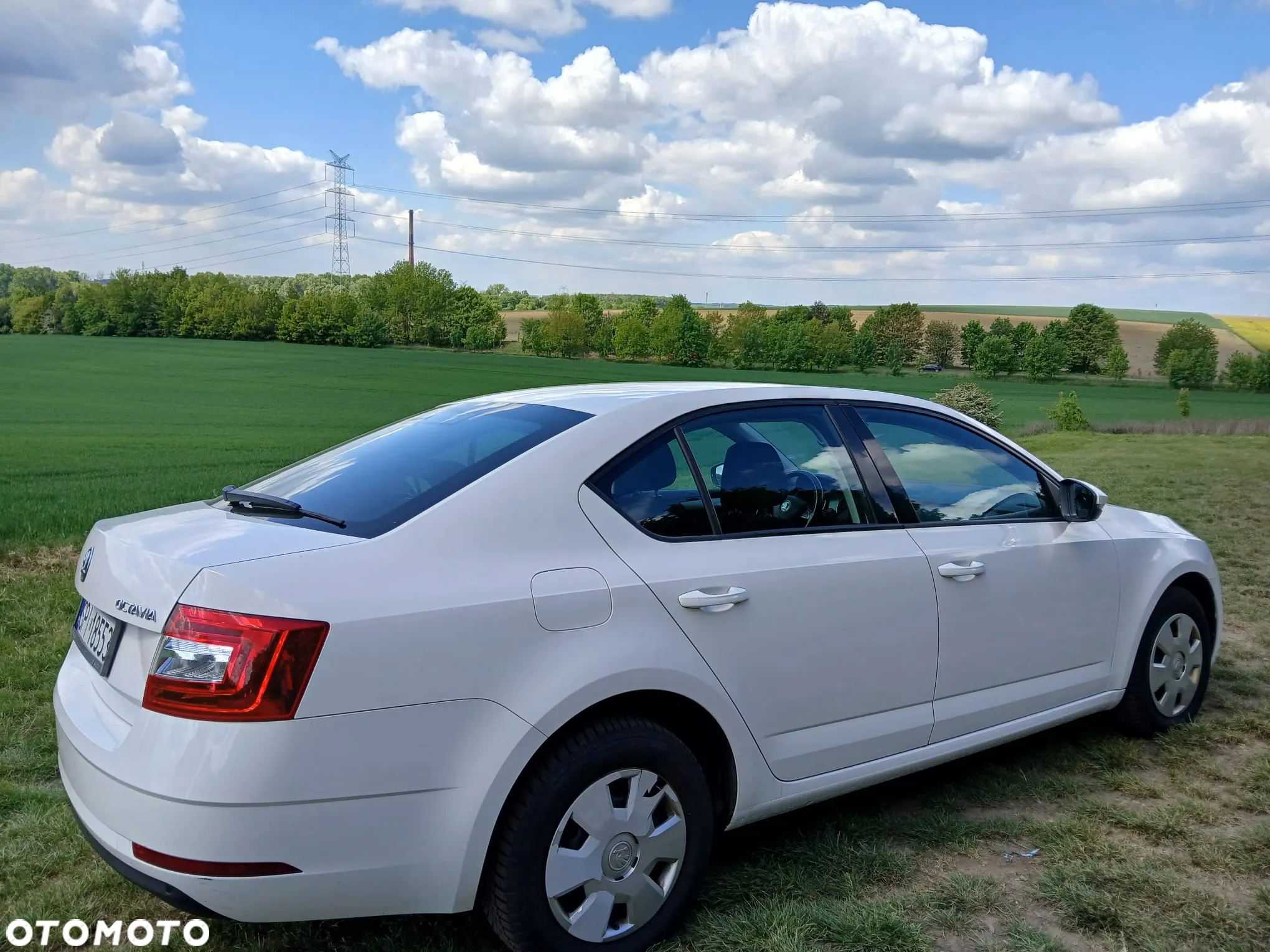 Skoda Octavia 1.6 TDI Active - 2