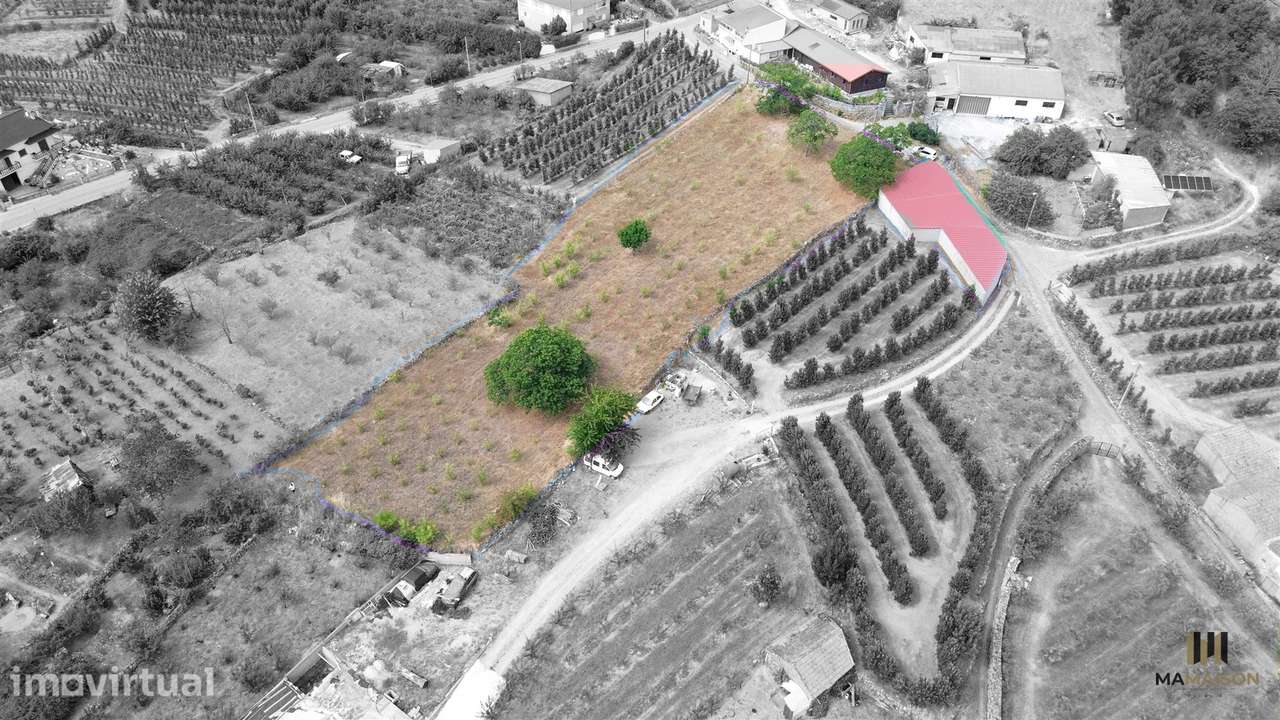 Terreno P/ Construção | 3000m2 | Cimbres - Grande imagem: 5/7