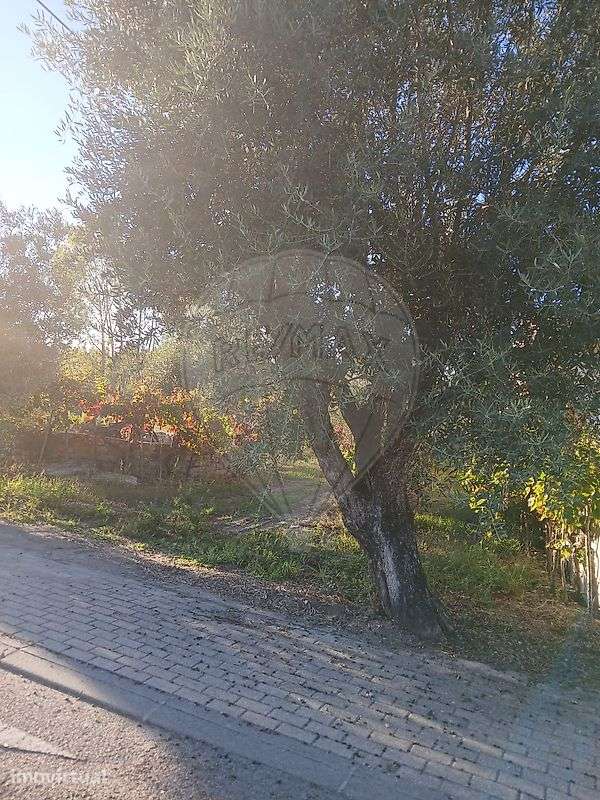 Terreno  para venda - Grande imagem: 3/7