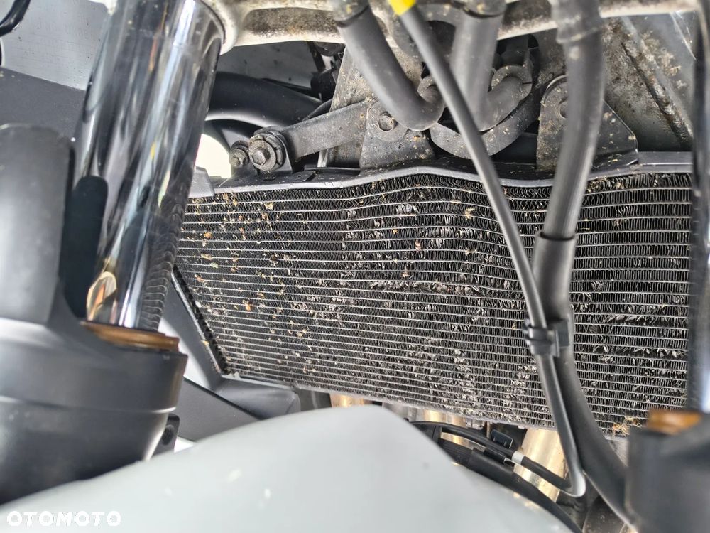 Suzuki GSX - 10