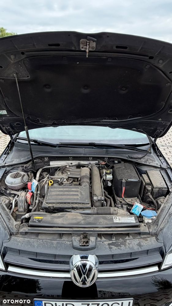Volkswagen Golf - 17