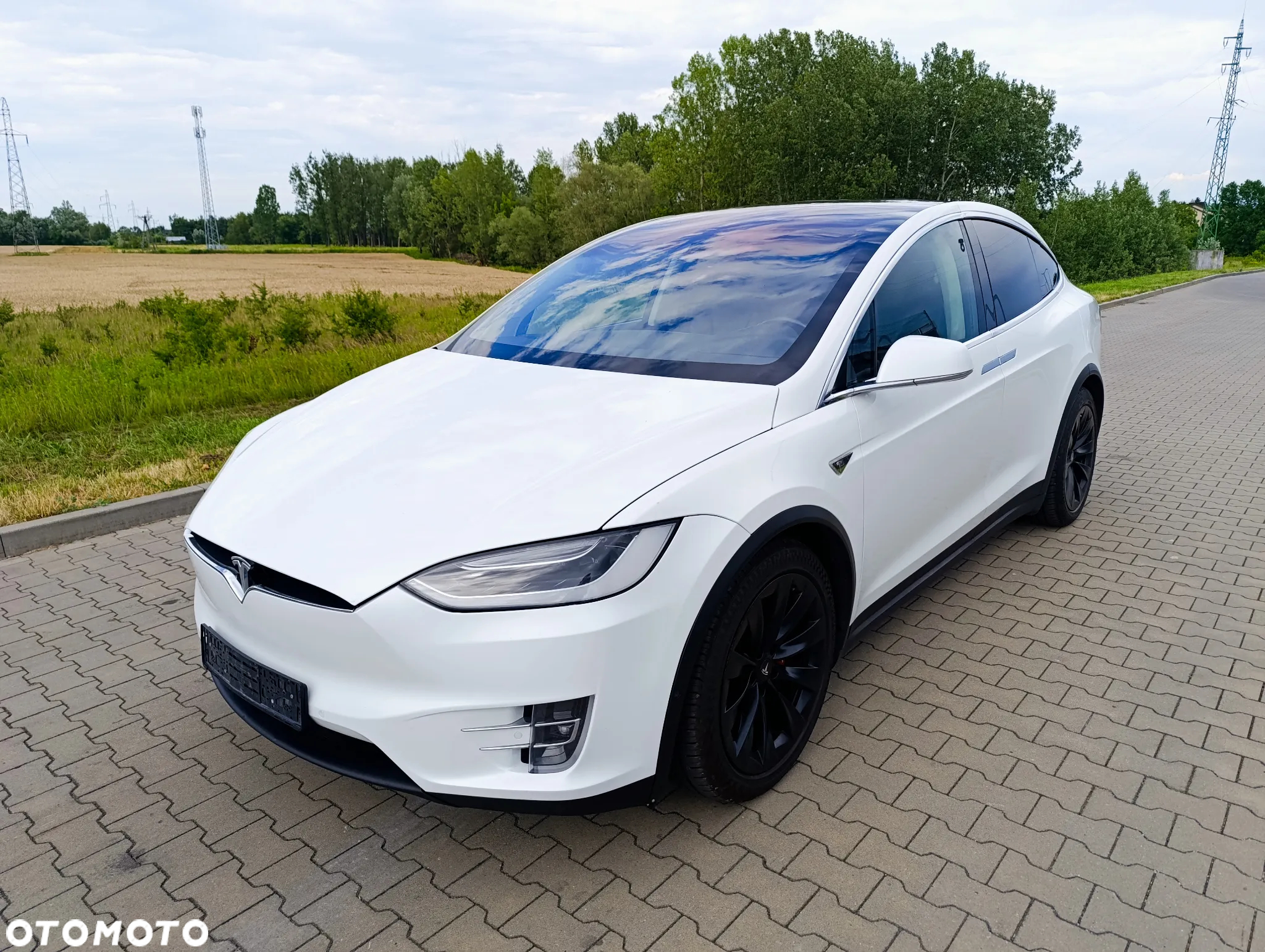 Tesla Model X Performance - 11