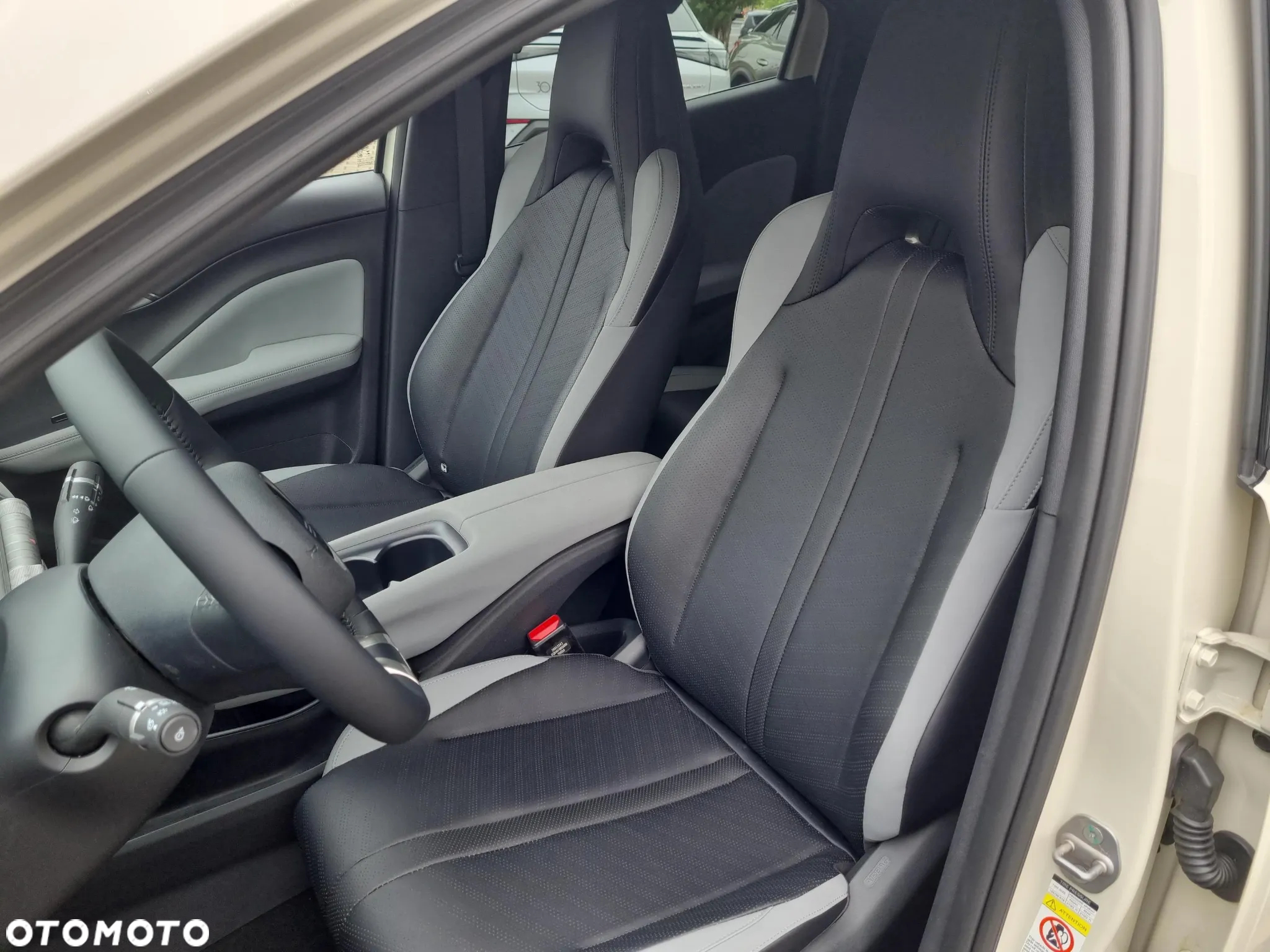BYD Dolphin Surf - 11