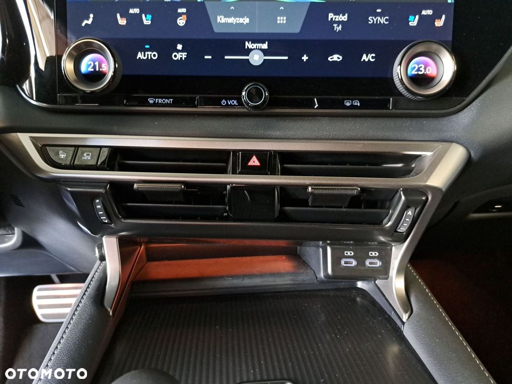 Lexus RX - 28