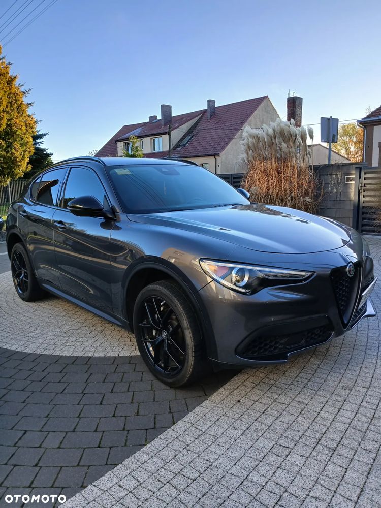 Alfa Romeo Stelvio - 1