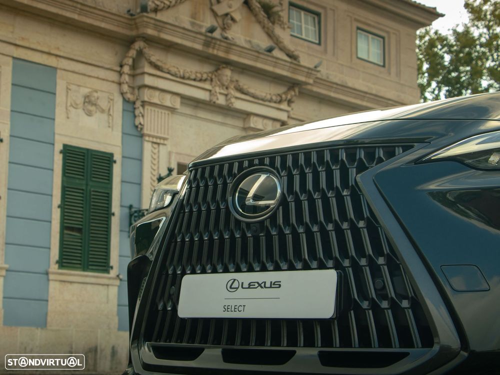 Lexus NX 450h+ Executive Plus - 18