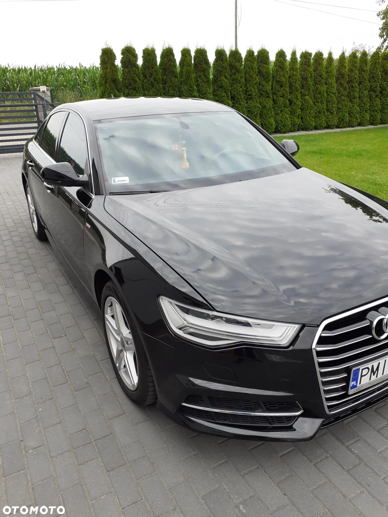 Audi A6 2.0 TDI ultra S tronic - 2