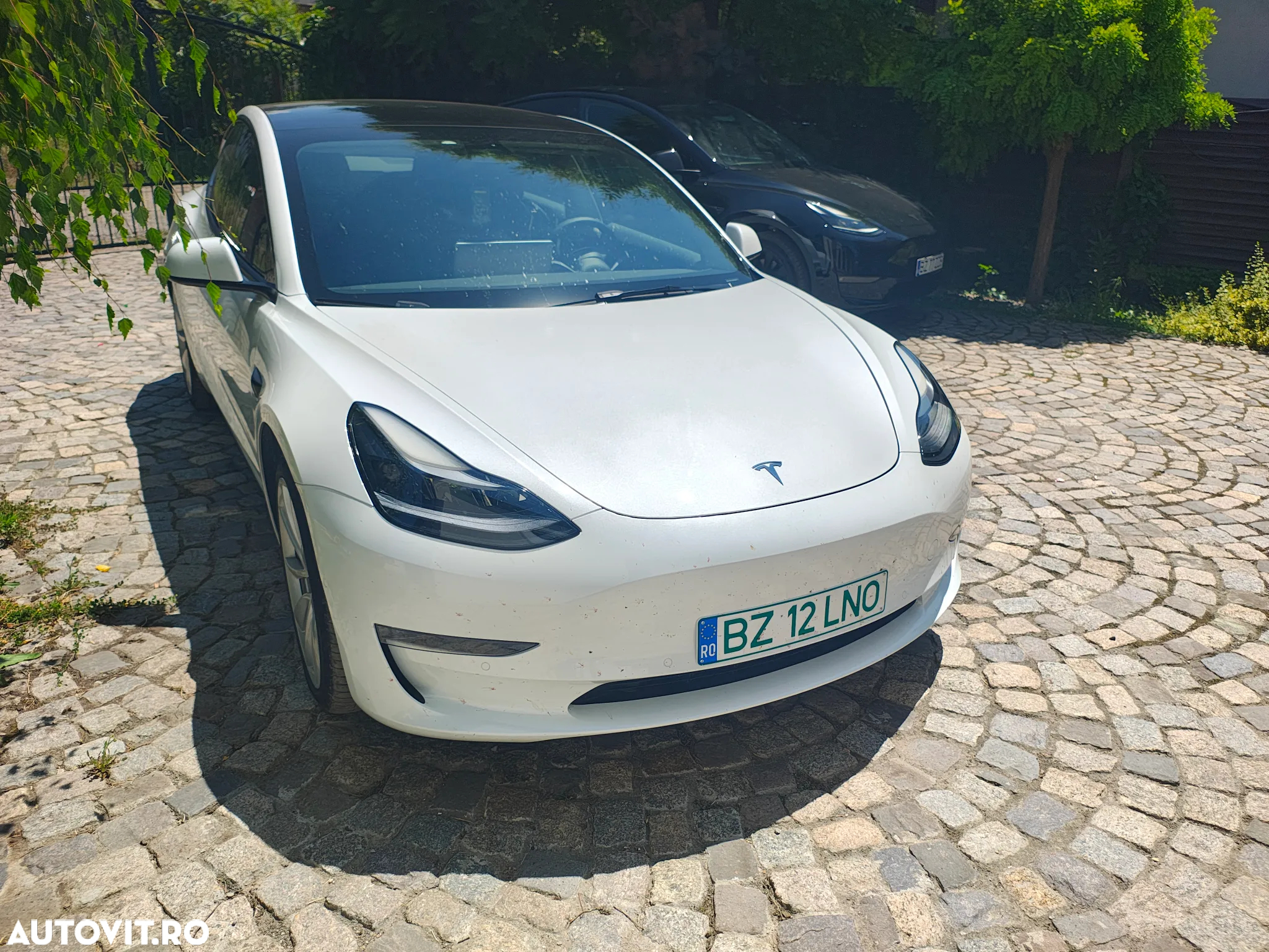 Tesla Model 3 - 6