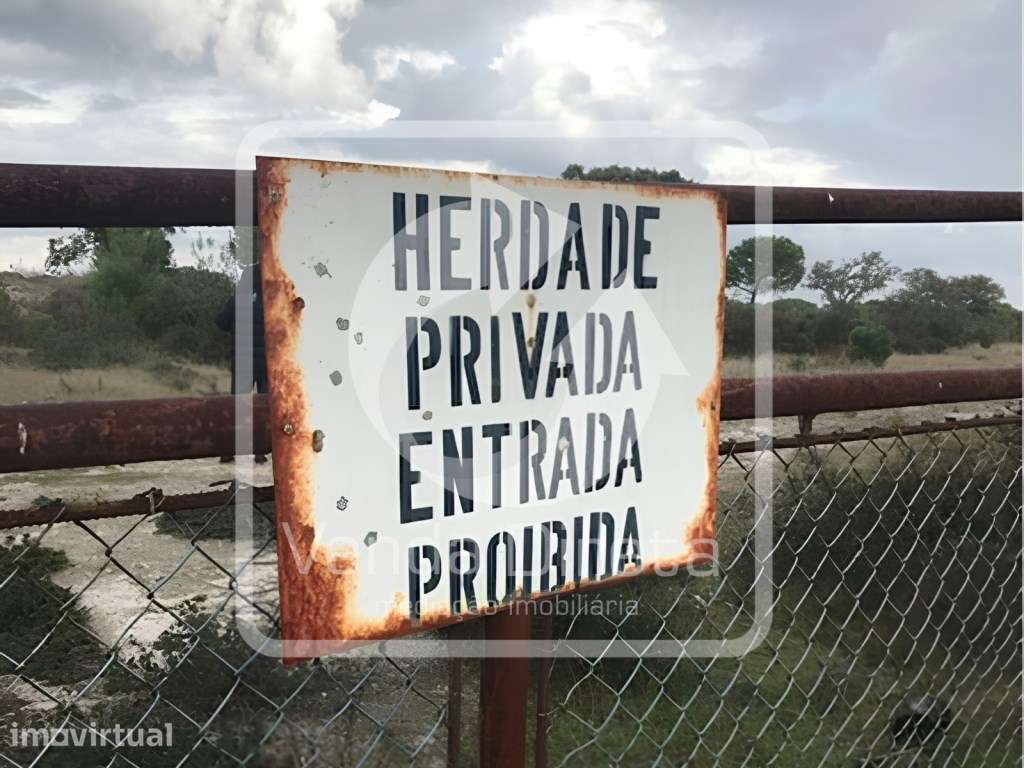 Conjunto de 3 Terrenos Rústicos com 82,5 HA | Herdade da Barroca D'... - Grande imagem: 4/8