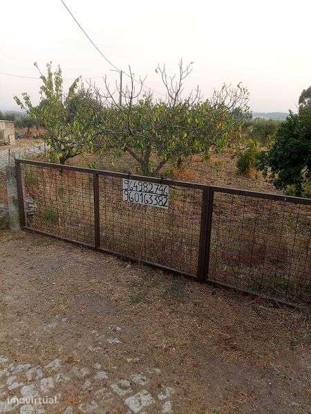 VENDA de uma pequena  QUINTA - Grande imagem: 3/8