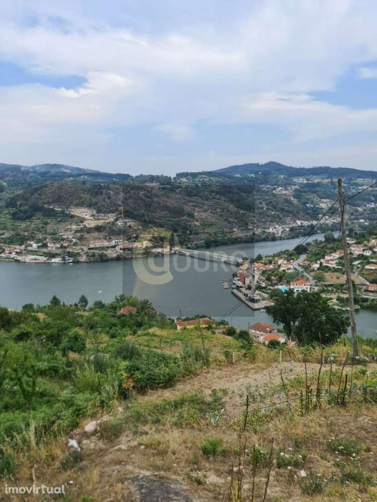 Quinta - Grande imagem: 3/19