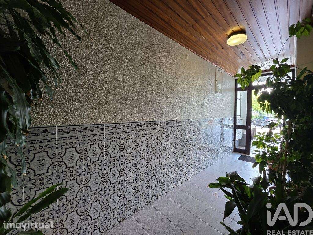 Apartamento em Carregal do Sal - Grande imagem: 3/18