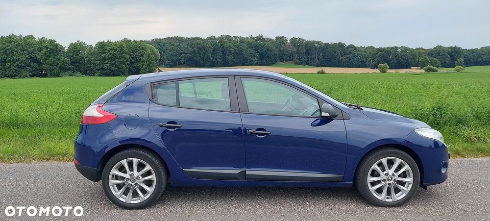 Renault Megane - 13