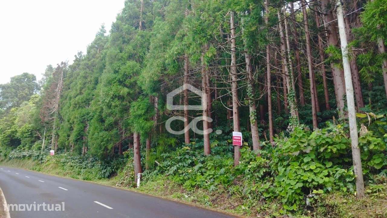 Terreno com 41.624,00 m2 - Santo Amaro - São Roque do Pico - Grande imagem: 2/10