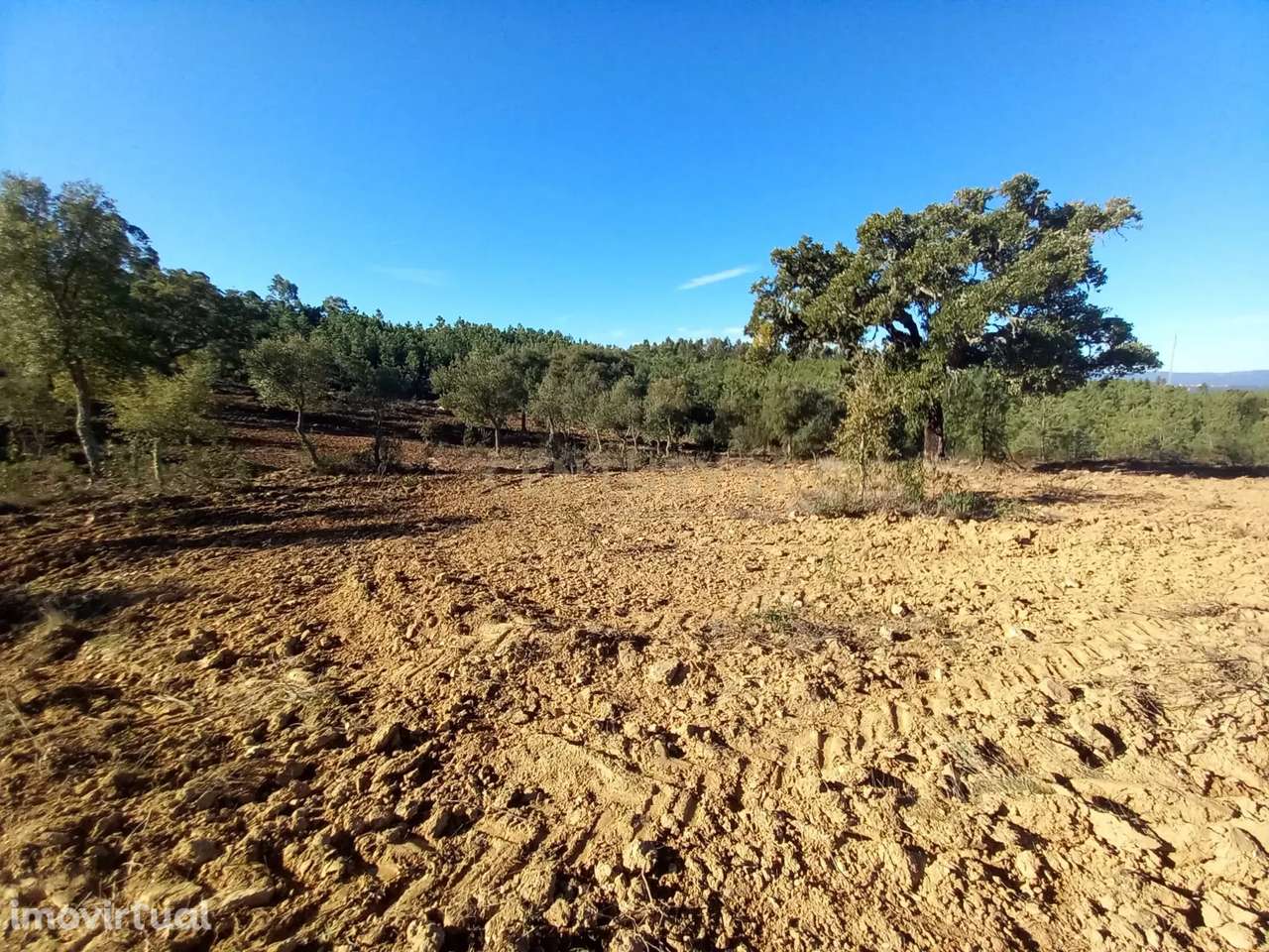 Terreno rustico com 16940m2-Sarnadas de Rodão - Grande imagem: 5/17