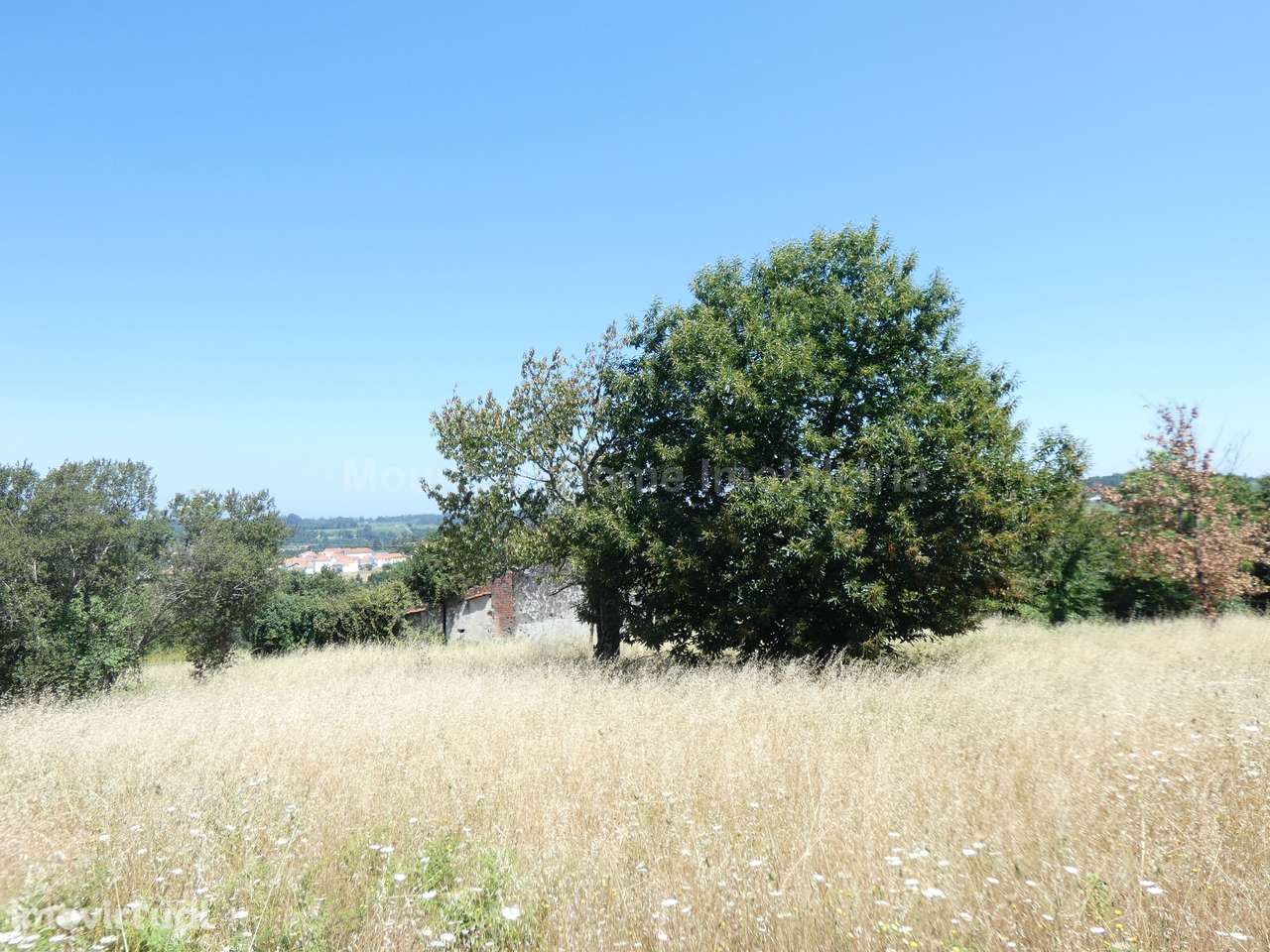 Quinta  Venda em Seia, São Romão e Lapa dos Dinheiros,Seia - Grande imagem: 3/7