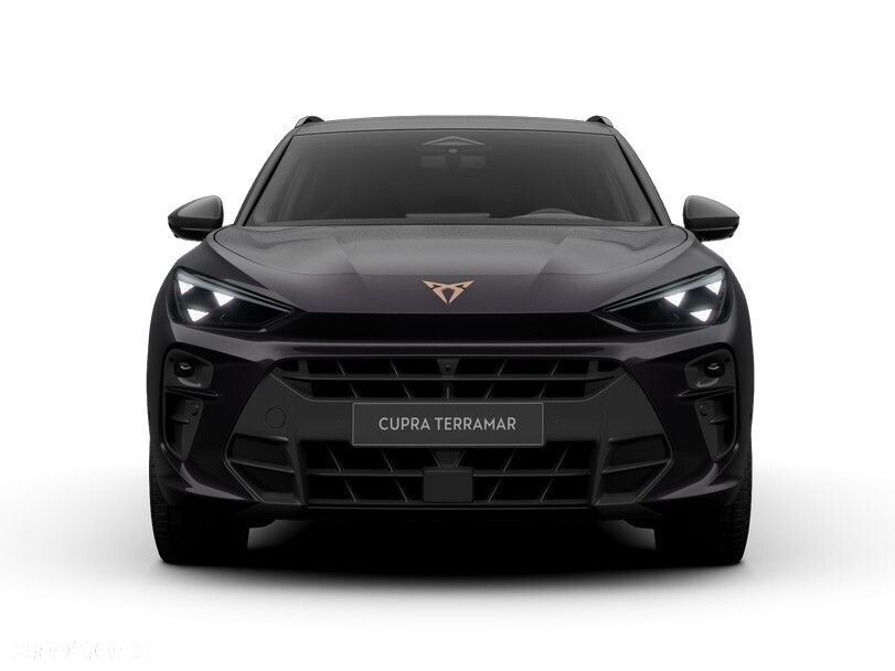Cupra Terramar 2.0 TSI 4Drive DSG - 6