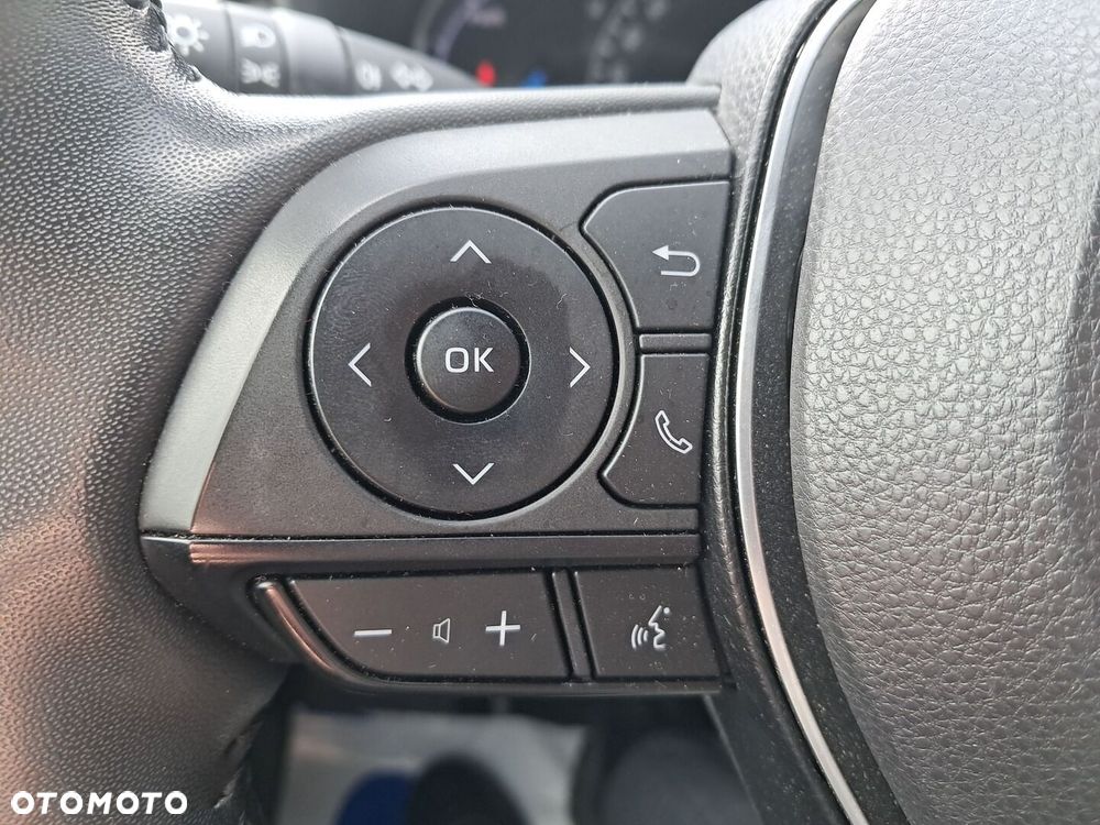 Toyota RAV4 2.5 Hybrid Selection 4x2 - 22