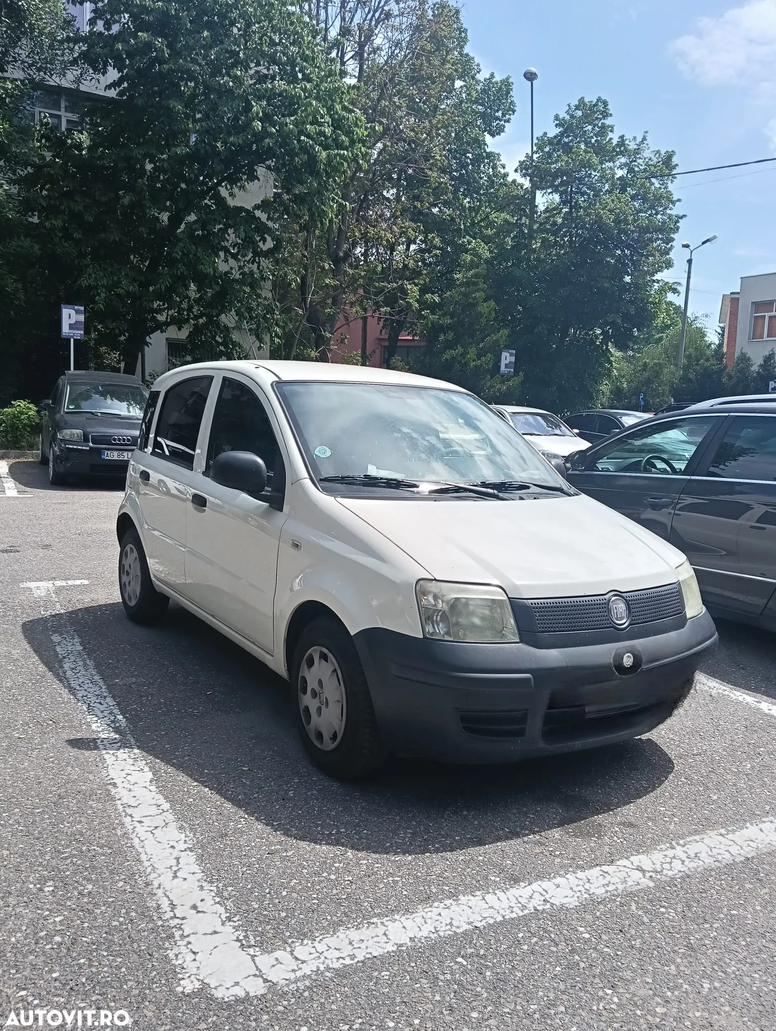 Fiat Panda 1.2 Actual - 6