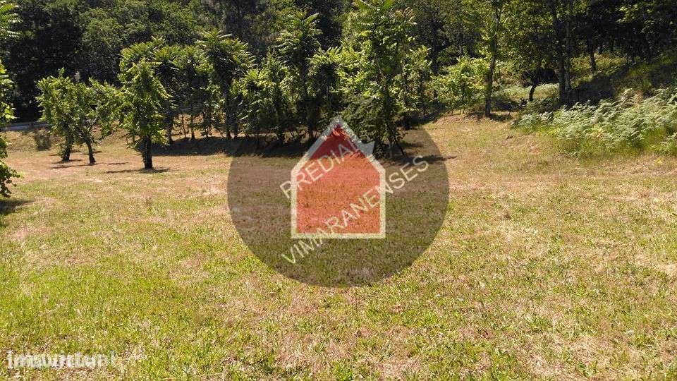 Quinta - Gominhães - 290.000€ - Grande imagem: 2/29