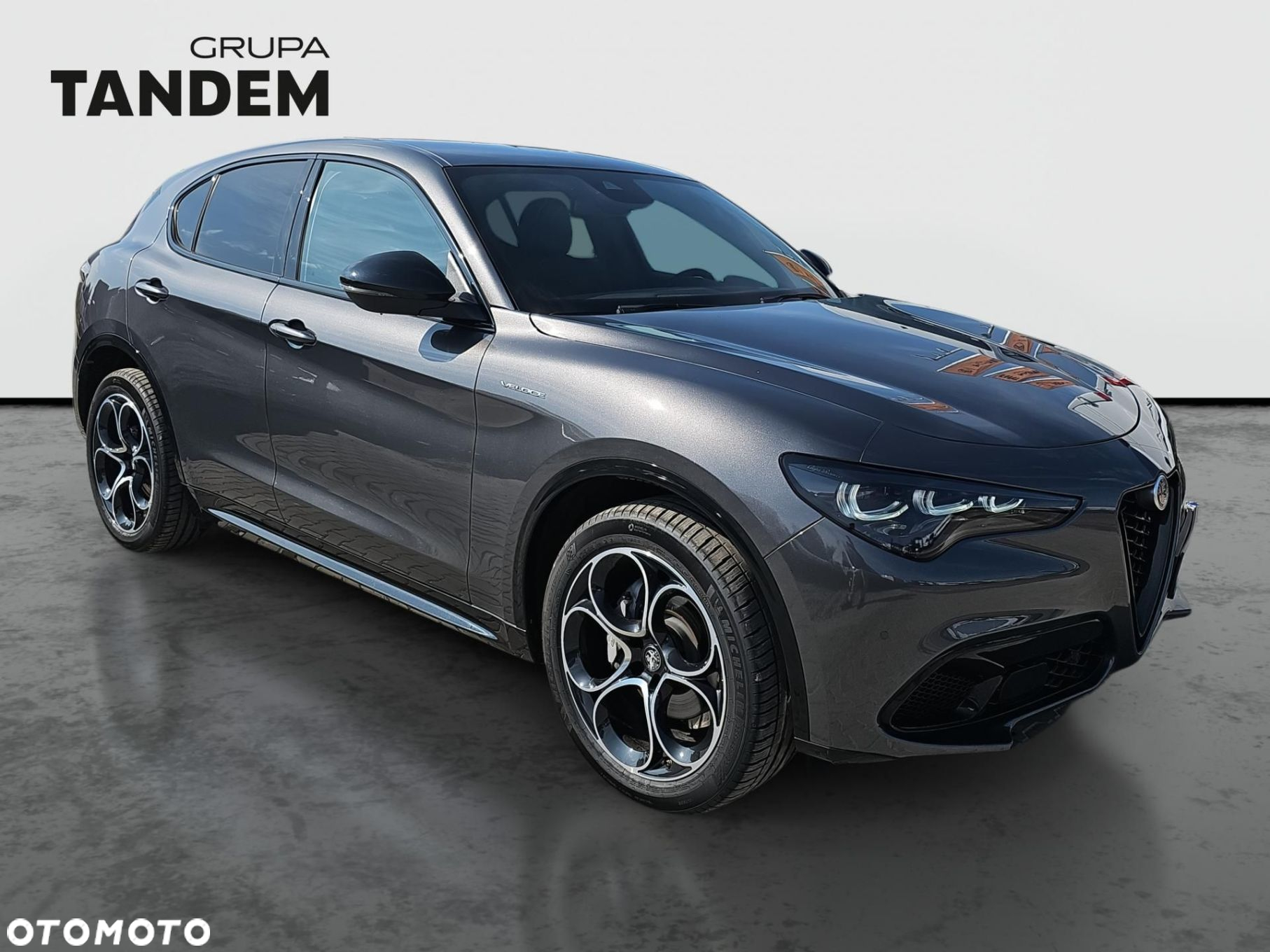 Alfa Romeo Stelvio 2.0 Turbo Veloce Q4 - 3