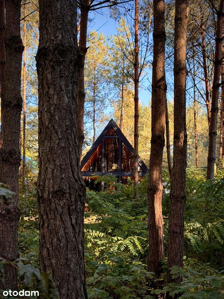 2 domki nad jeziorem we własnym lesie. Inwestycja lub dom. Mazury - Pełny obrazek: 2/20