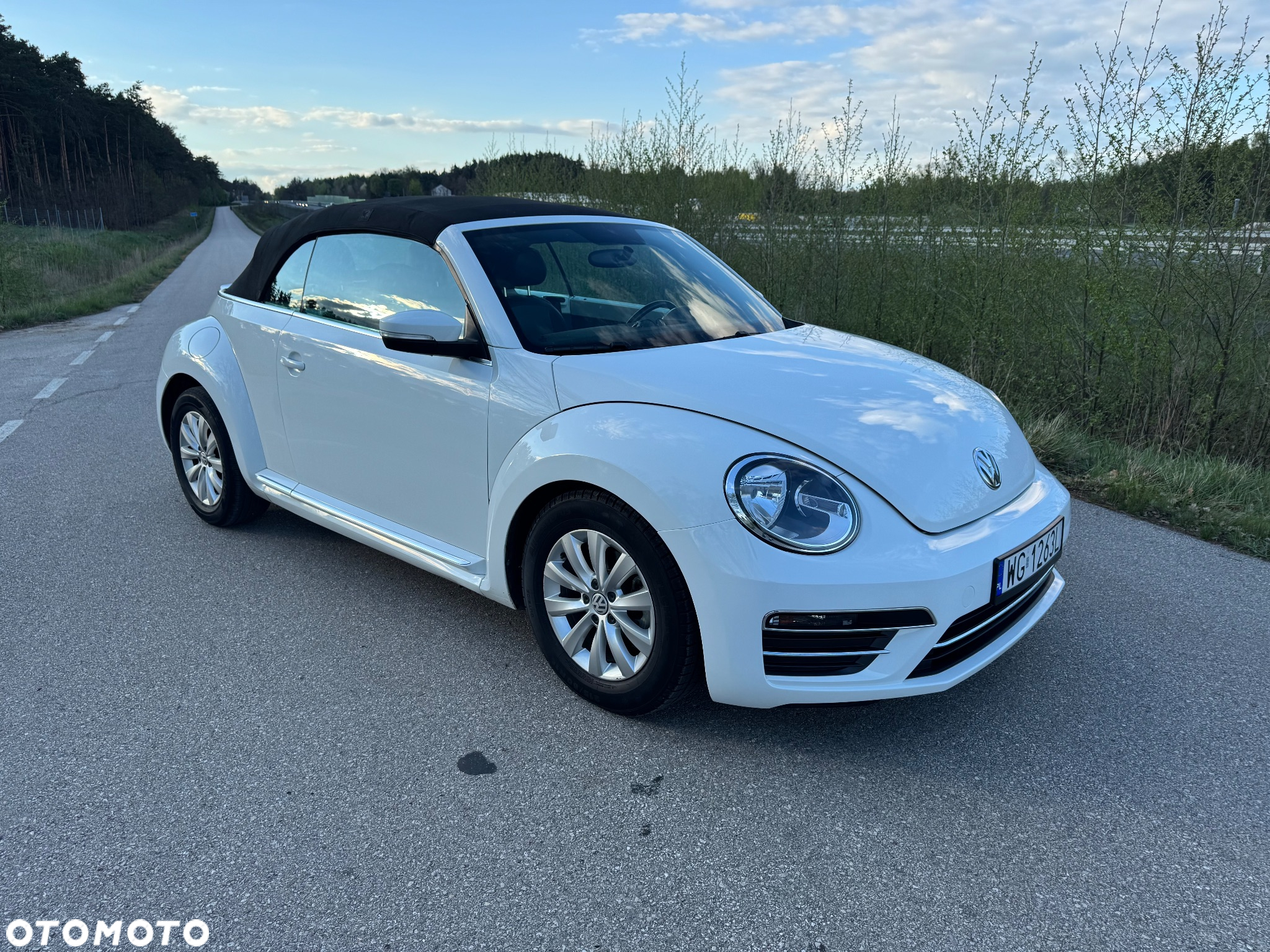 Volkswagen Beetle - 5