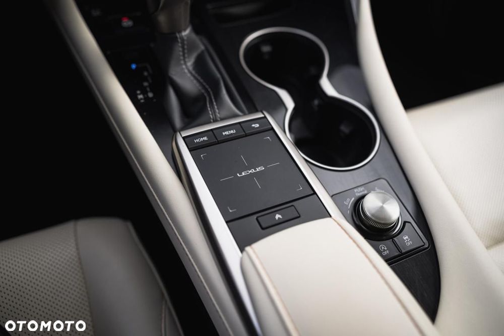 Lexus RX - 18