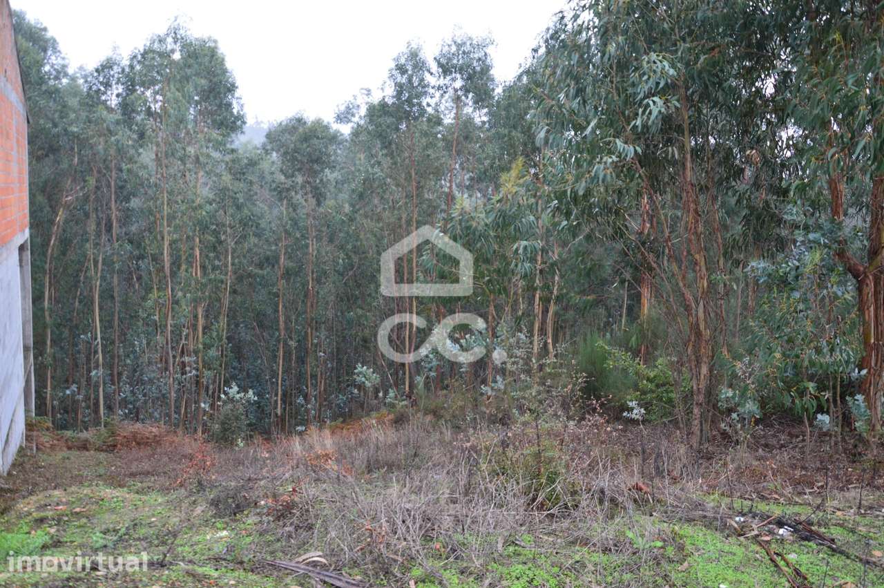 Terreno com zona de construção, Lagares e Figueira, Penafiel - Grande imagem: 3/5