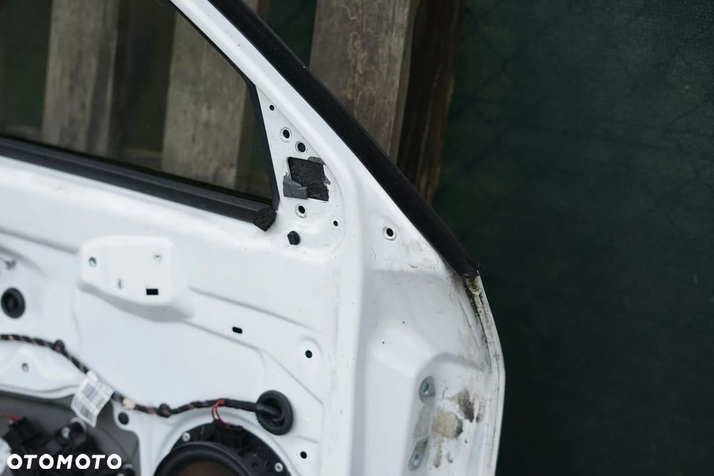 Drzwi przód przednie lewe Skoda Fabia II 1026 - 15