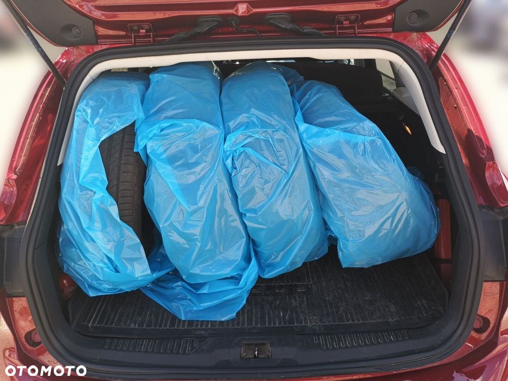 Ford Focus 1.5 EcoBoost Titanium - 14