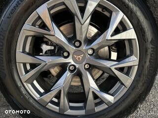 Cupra Terramar - 10