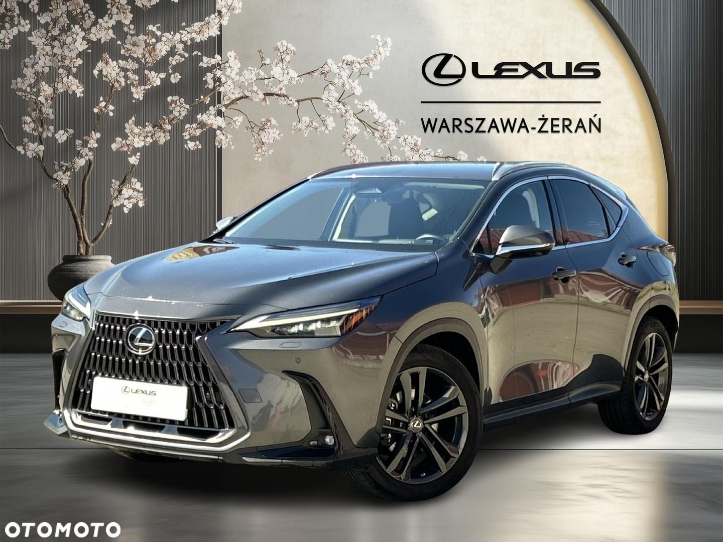 Lexus NX - 2