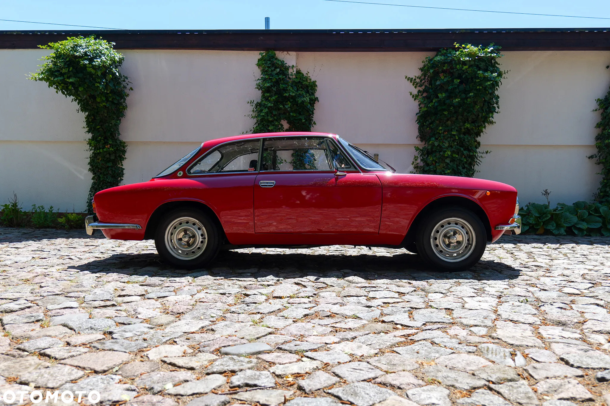 Alfa Romeo GT - 6