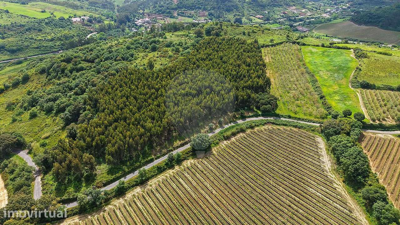 Terreno  para venda - Grande imagem: 3/10