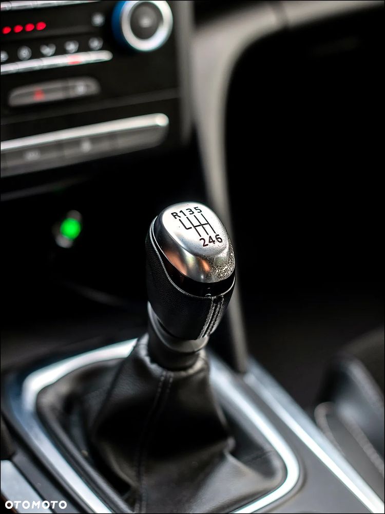 Renault Megane - 31