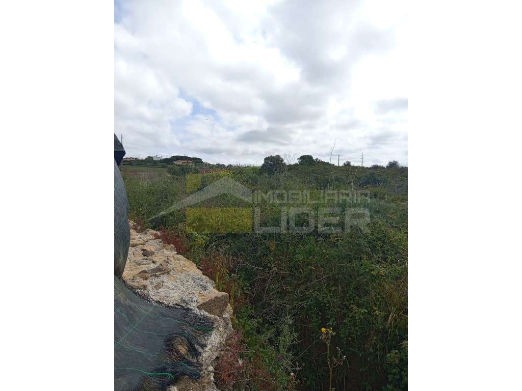 Terreno Rústico inserido em plena natureza com 10.530m em Mafra - Grande imagem: 2/2