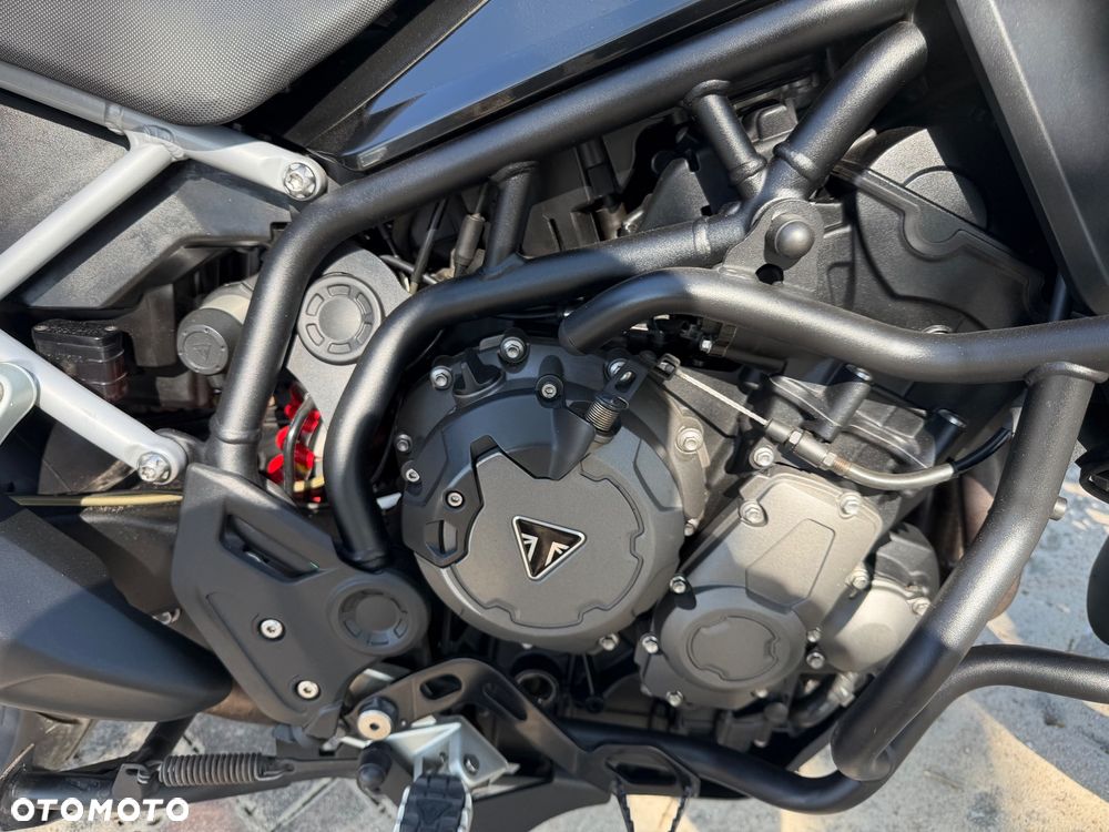 Triumph Tiger - 5