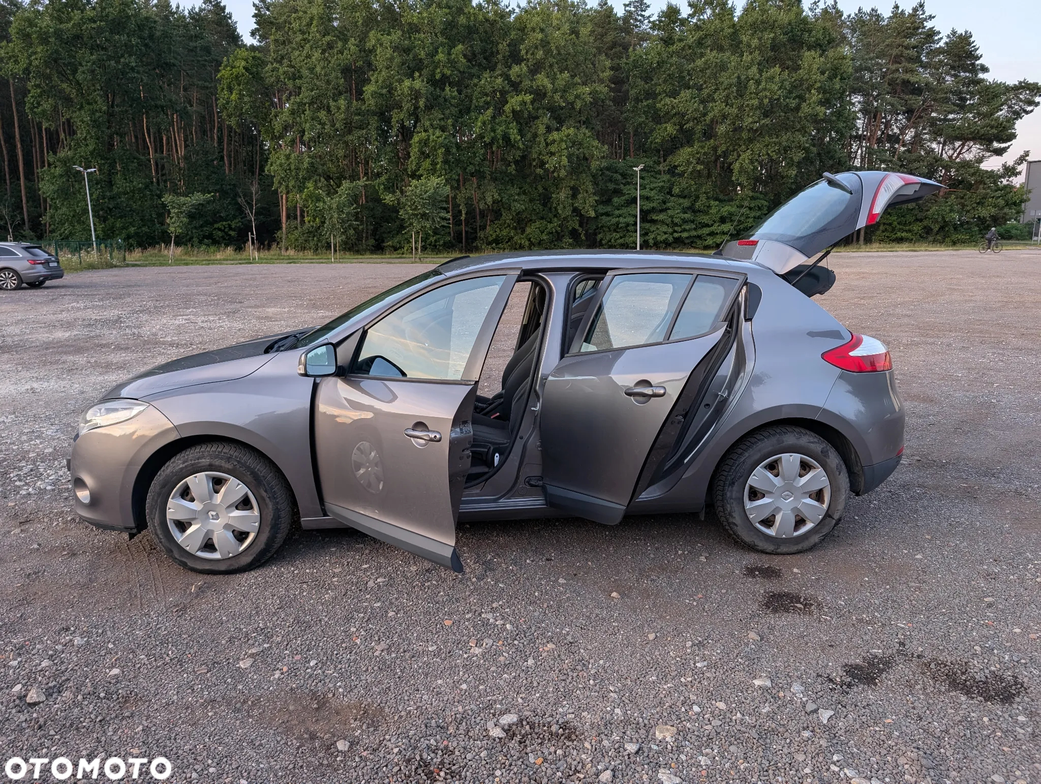 Renault Megane - 5