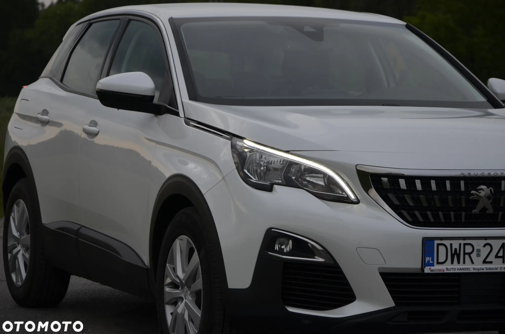 Peugeot 3008 - 18