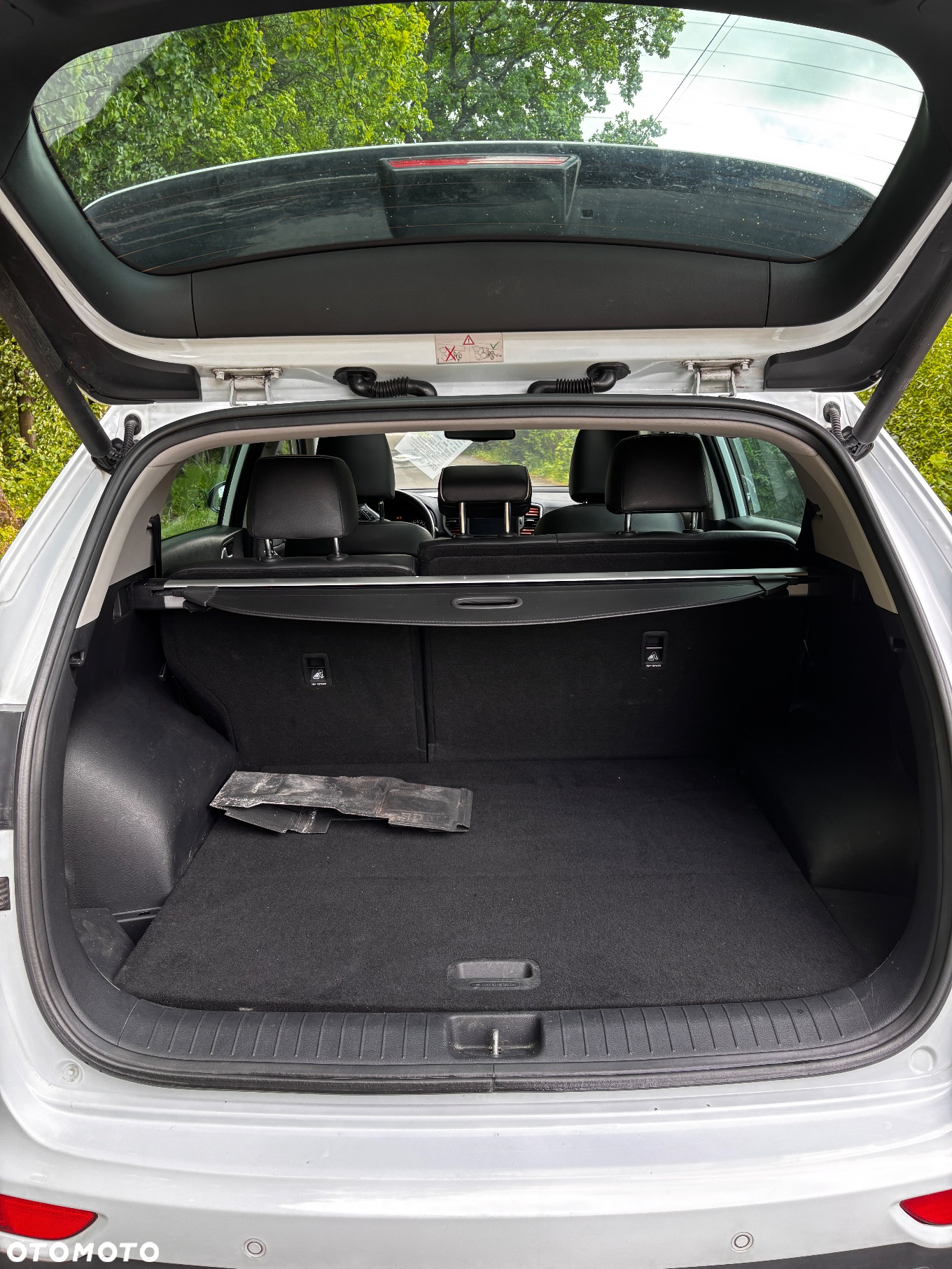 Kia Sportage - 6