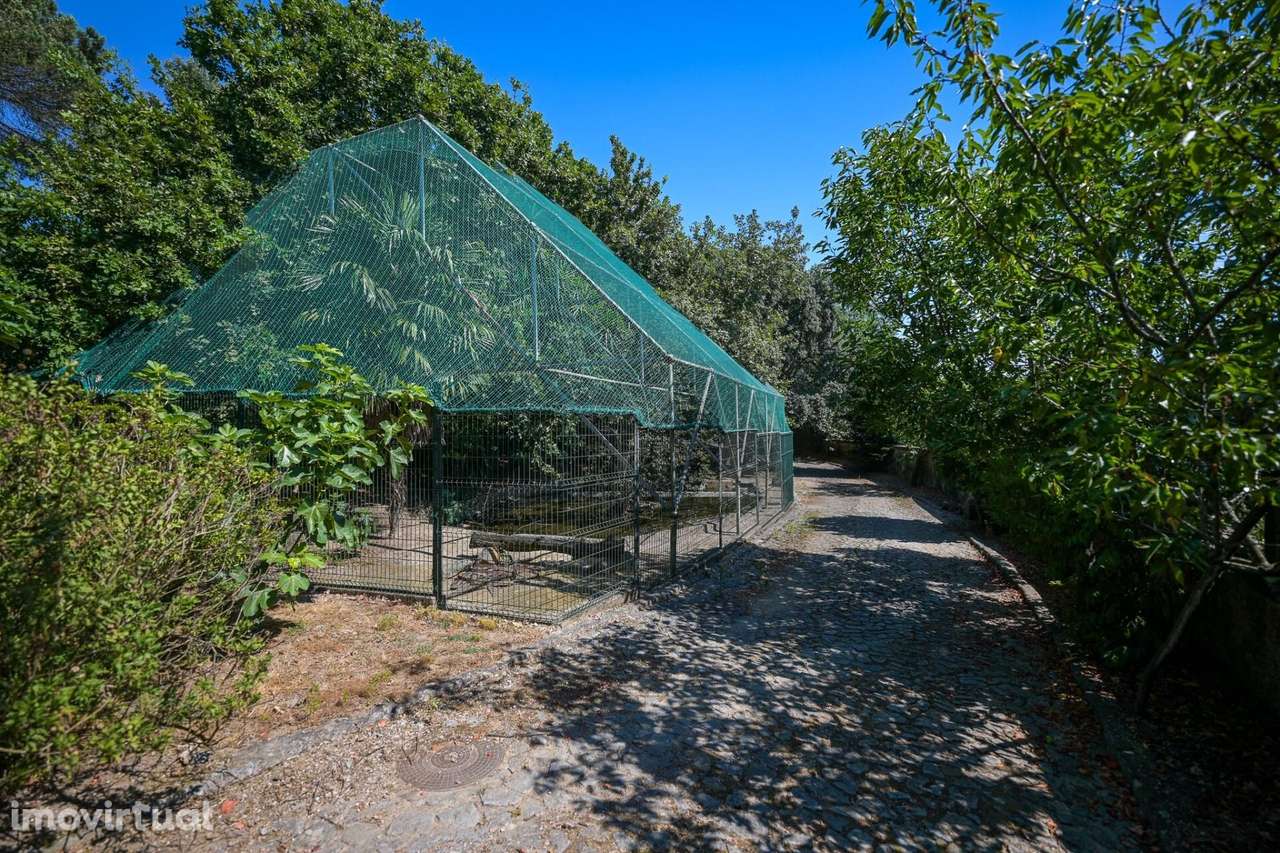 Quinta T4 de Luxo em Famalicão: Piscina Interior, Campo de Futebol e E - Grande imagem: 5/47