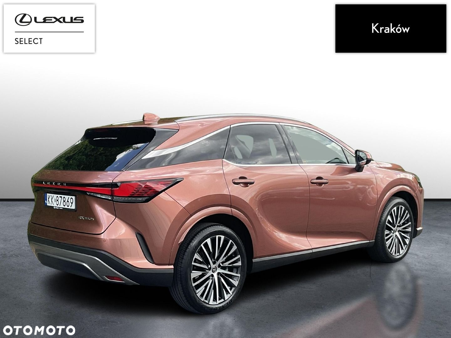 Lexus RX - 5