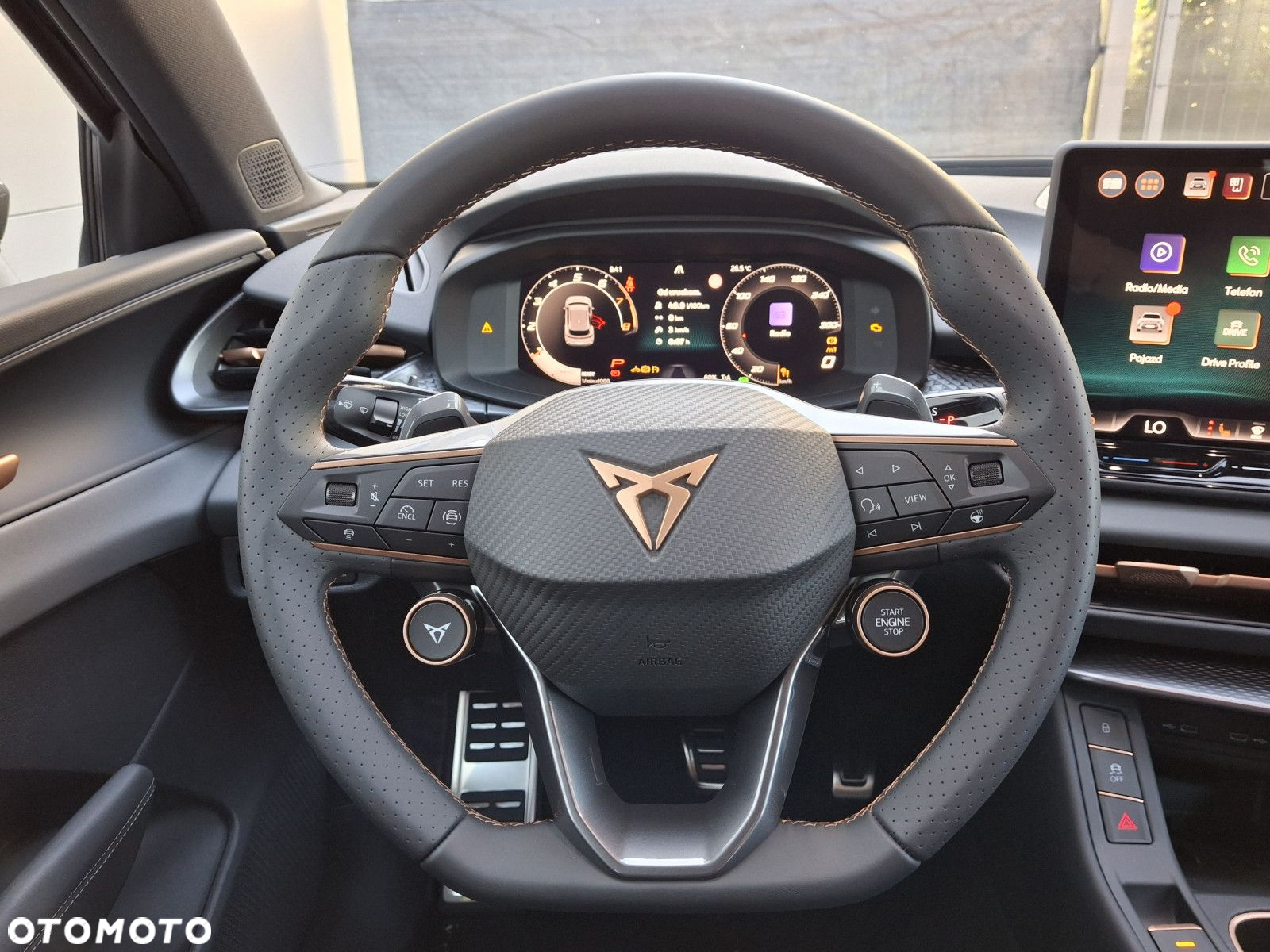 Cupra Terramar - 20